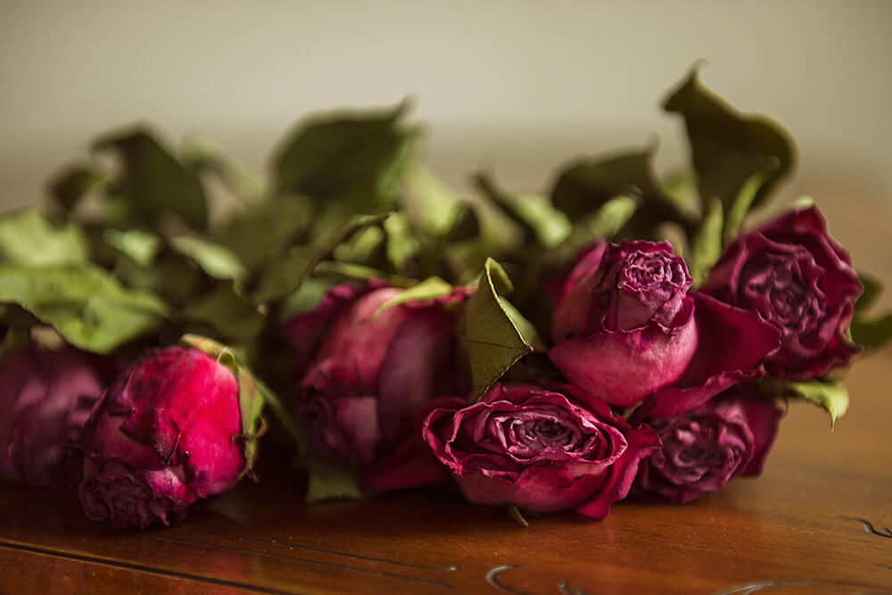 valentines day, romance, roses, love, white sheet, portrait, vienna, boudoir, ursula schmitz