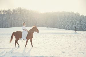 ursula schmitz, portrait, photography, vienna, austria, destination, winter, snow, wonderland, sunshine, early morning, horse, girl, beauty