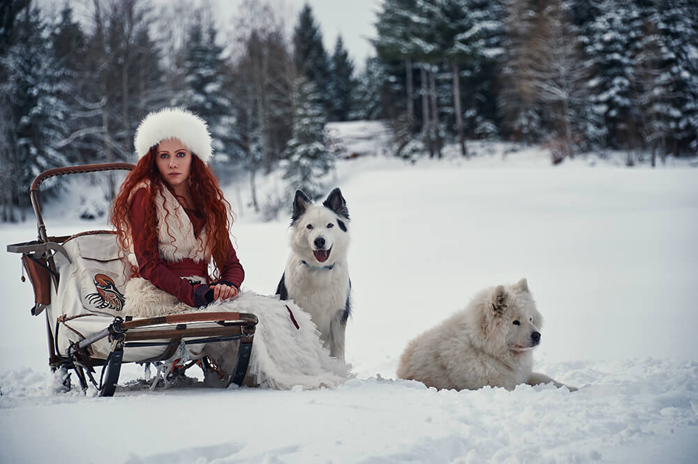 ursula schmitz, photography, portrait, destination photographer, switzerland, dogs, snow, winter wonderland, mountains