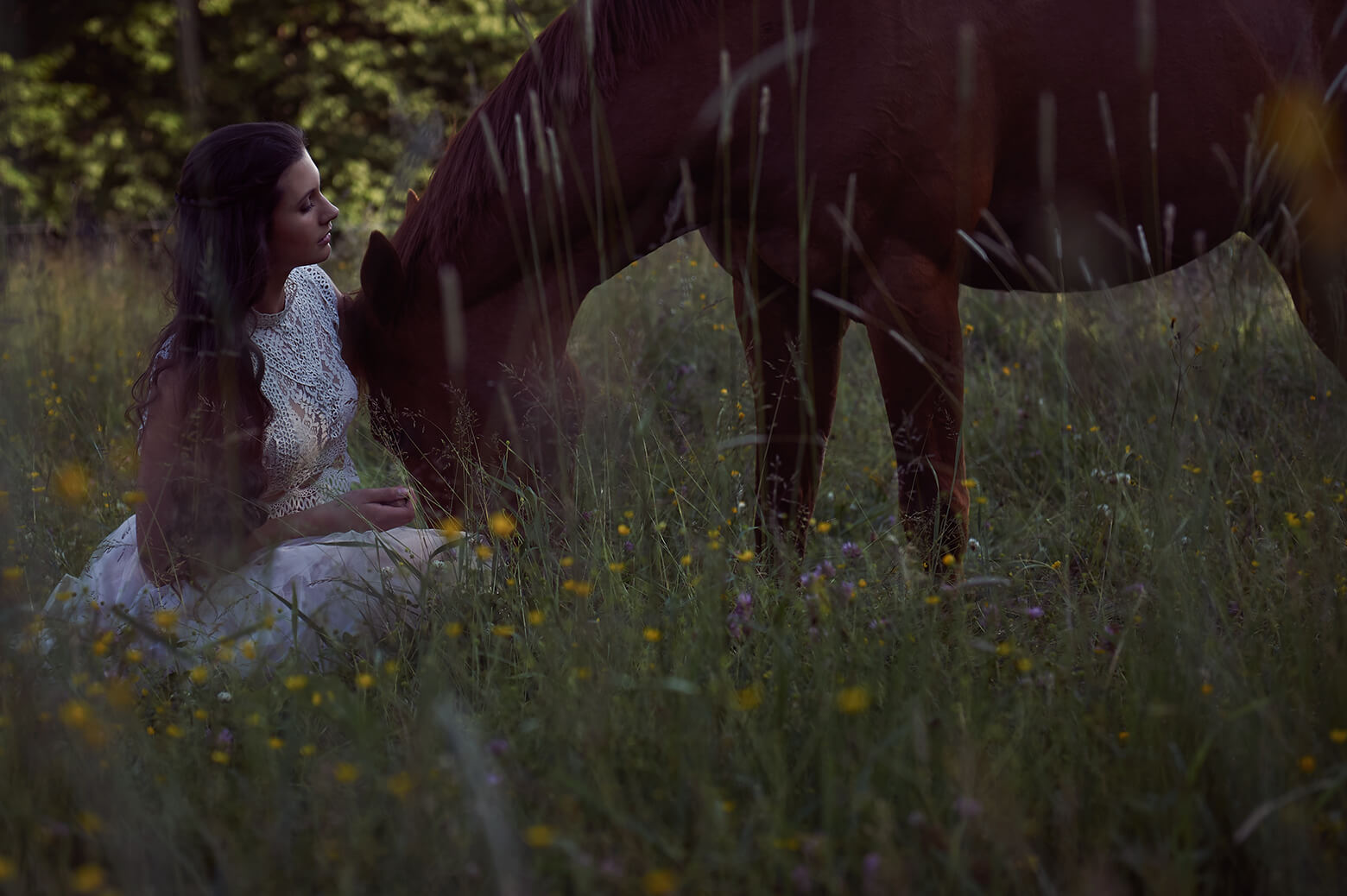 teenager, girl, beauty, wien, vienna, ursula schmitz, fotografie, portrait, photography, horse, pferd, equestrian, spring, summer, austria, sunset, romance